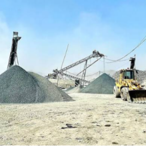Sargodha plant crush